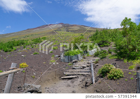 富士山，富士宮市路，富士宮出口第5站 57391344