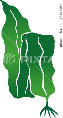 Kelp Kelp 57391361