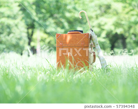 Summer image Summer image 57394348