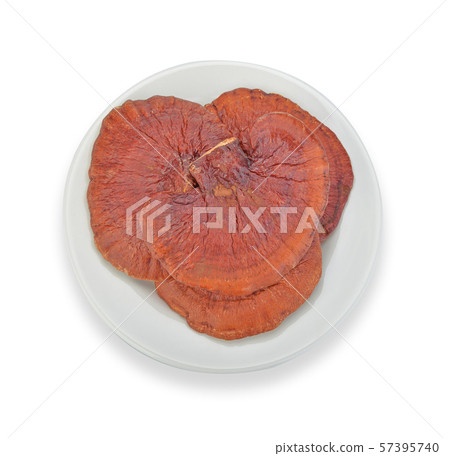 Dried lingzhi mushroom, Chinese traditional Dried lingzhi mushroom, Chinese traditional 57395740