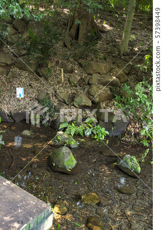 Spring point of bamboo forest park 57398449