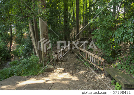 Bamboo forest walking path 57398451