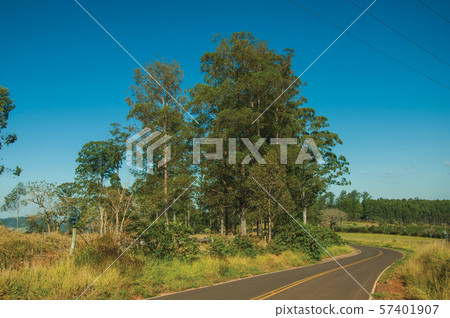 Countryside road on landscape covered by meadows Countryside road on landscape covered by meadows 57401907