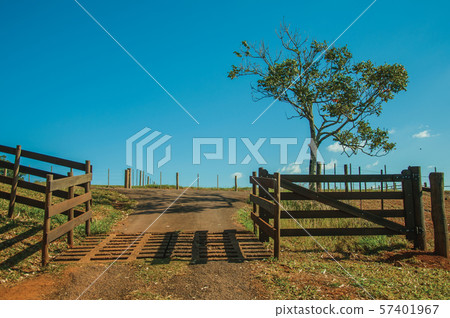 Farm gate with cattle guard and barbed wire fence Farm gate with cattle guard and barbed wire fence 57401967