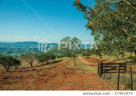 Meadows and trees in a green valley with farm gate Meadows and trees in a green valley with farm gate 57401973