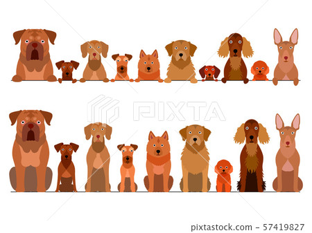 Brown dog border set 57419827