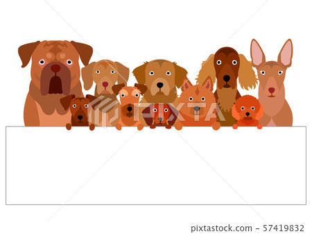 Group of brown dogs with board 57419832