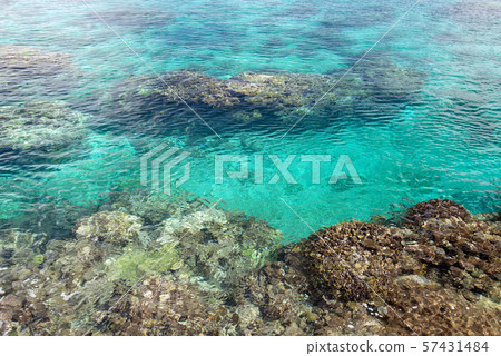 New Caledonia Loyalty Islands Male Island Coral Reef in Nord Bay 57431484