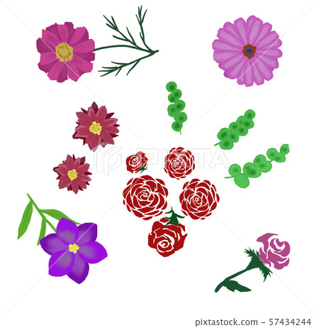 Flowers 57434244