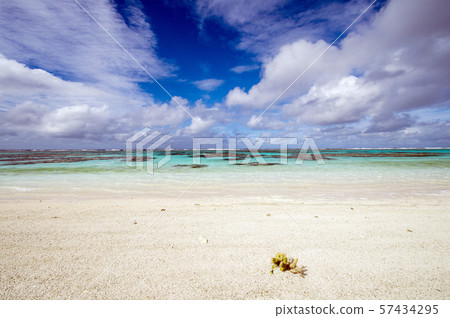 新喀裡多尼亞Loyalty Islands男島帕索海灘 新喀裡多尼亞Loyalty Islands男島帕索海灘 57434295