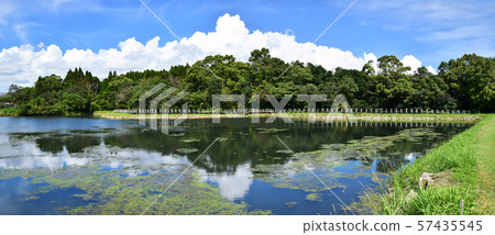 Kawanan Wetlands and plants 57435545