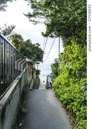 [Kanagawa] Enoshima back alley 57436041