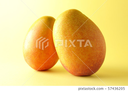 Rough mango 57436205