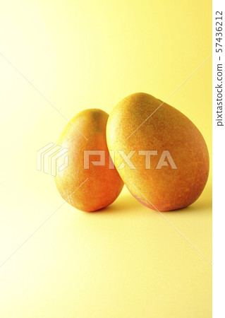 Rough mango 57436212