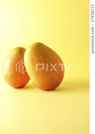 Rough mango 57436213