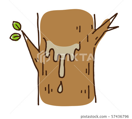 樹脂圖像圖 57436796