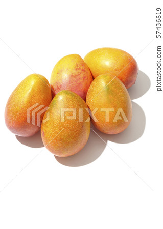 Lots of mango 57436819