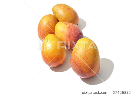 很多芒果 很多芒果 57436823