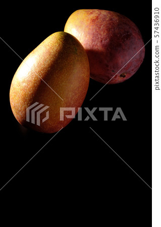 Rough mango 57436910
