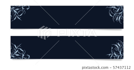 Frost corners overlay. Tangled patterns of ice Frost corners overlay. Tangled patterns of ice 57437112