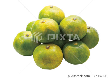 House oranges 01 (with pass) House oranges 01 (with pass) 57437610