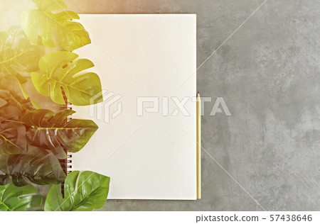 blank sketchbook and green leaves blank sketchbook and green leaves 57438646