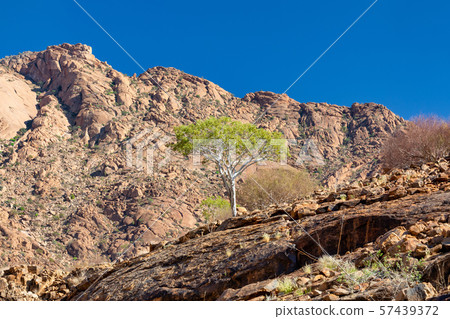Brandberg mountain landscape, Namibia 57439372