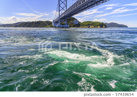 Uzusio cruise 57439654