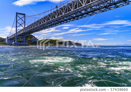 Uzusio cruise Uzusio cruise 57439660