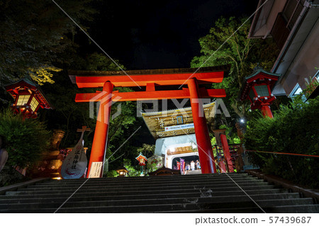 [Kanagawa] Enoshima Night Torii 57439687
