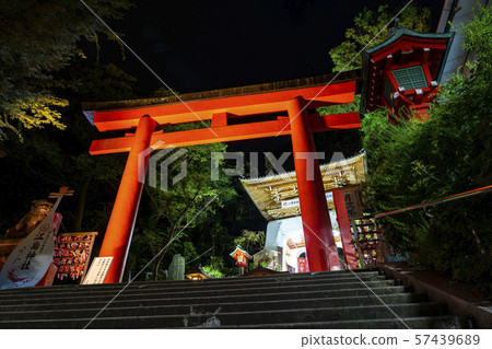 [Kanagawa] Enoshima Night Torii 57439689