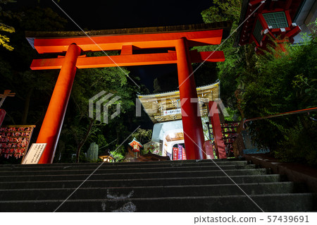 [Kanagawa] Enoshima Night Torii 57439691