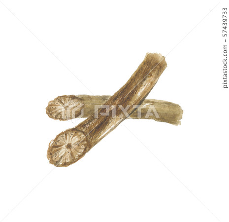 Otsu Samurai Bowie 57439733