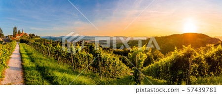 Landscapa panorama of vineyard on an Austrian countryside with a church in the background in Kitzeck Landscapa panorama of vineyard on an Austrian countryside with a church in the background in Kitzeck 57439781