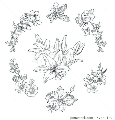 Lily pattern, floral ornament, toile de jouy. Seamless background. Hand drawn illustration in 57440129