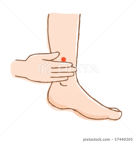 Foot point Sanyin 57440305