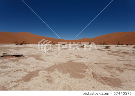 Dead Vlei Dead Vlei 57440575