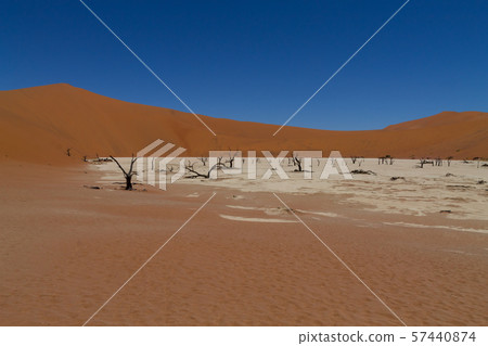 Dead Vlei 57440874