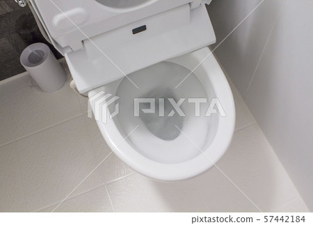 Flush toilet and toilet, hotel washroom image material 57442184
