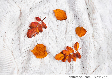 Autumn leaves arranged in a circle on a white sweater. Autumn leaves arranged in a circle on a white sweater. 57442330