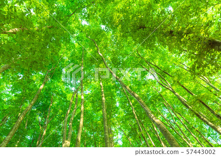 Fresh green and eco image 57443002