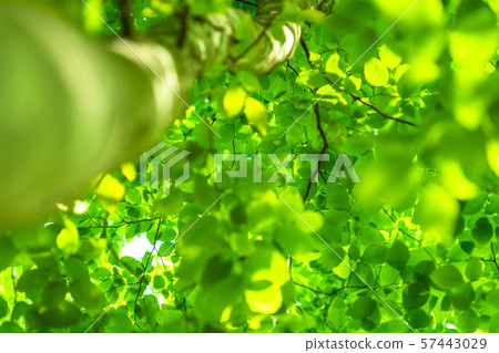 Fresh green and eco image 57443029