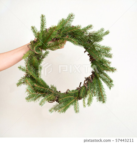 Christmas fresh natural wreath from spruce branch in female hands, on white background. Christmas fresh natural wreath from spruce branch in female hands, on white background. 57443211