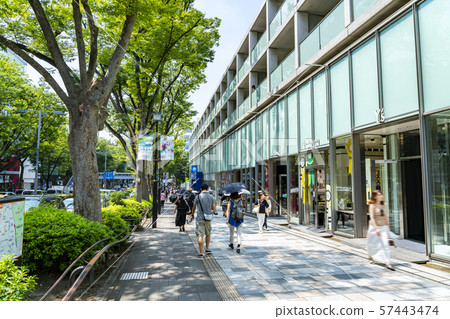 [Tokyo] Scenery of Omotesando 57443474