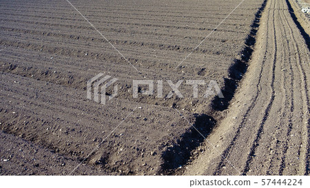 Agricultural image (field, black soil) Agricultural image (field, black soil) 57444224