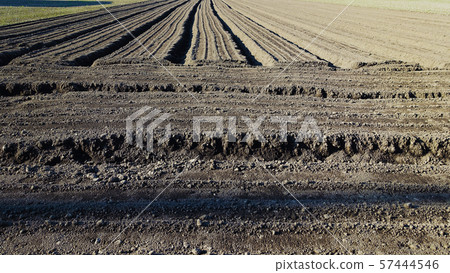 Agricultural image (field, black soil) Agricultural image (field, black soil) 57444546