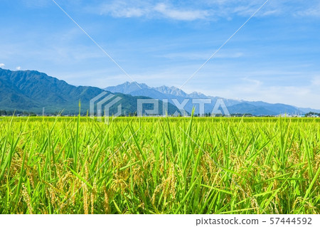 秋天的田園風光（俯瞰小鹿市，Kasumigadake，Kashima Kasumigadake和Goryudake） 57444592