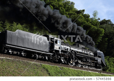 D51 SL Yamaguchi 57445898