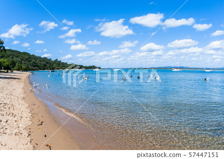 River Lagoon Boats Yachts Birds 1770 57447151