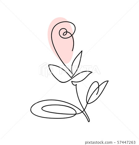 Continuous line hand drawing calligraphic vector flower rose concept logo beauty. Monoline spring 57447263